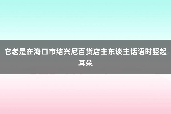 它老是在海口市结兴尼百货店主东谈主话语时竖起耳朵