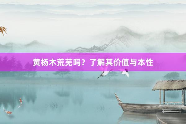 黄杨木荒芜吗？了解其价值与本性